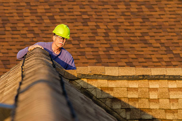 Best Roof Gutter Cleaning  in Auberry, CA
